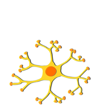 ಕರ್ಮ ಆಯುರ್ವೇದ ಚಿಕಿತ್ಸೆ